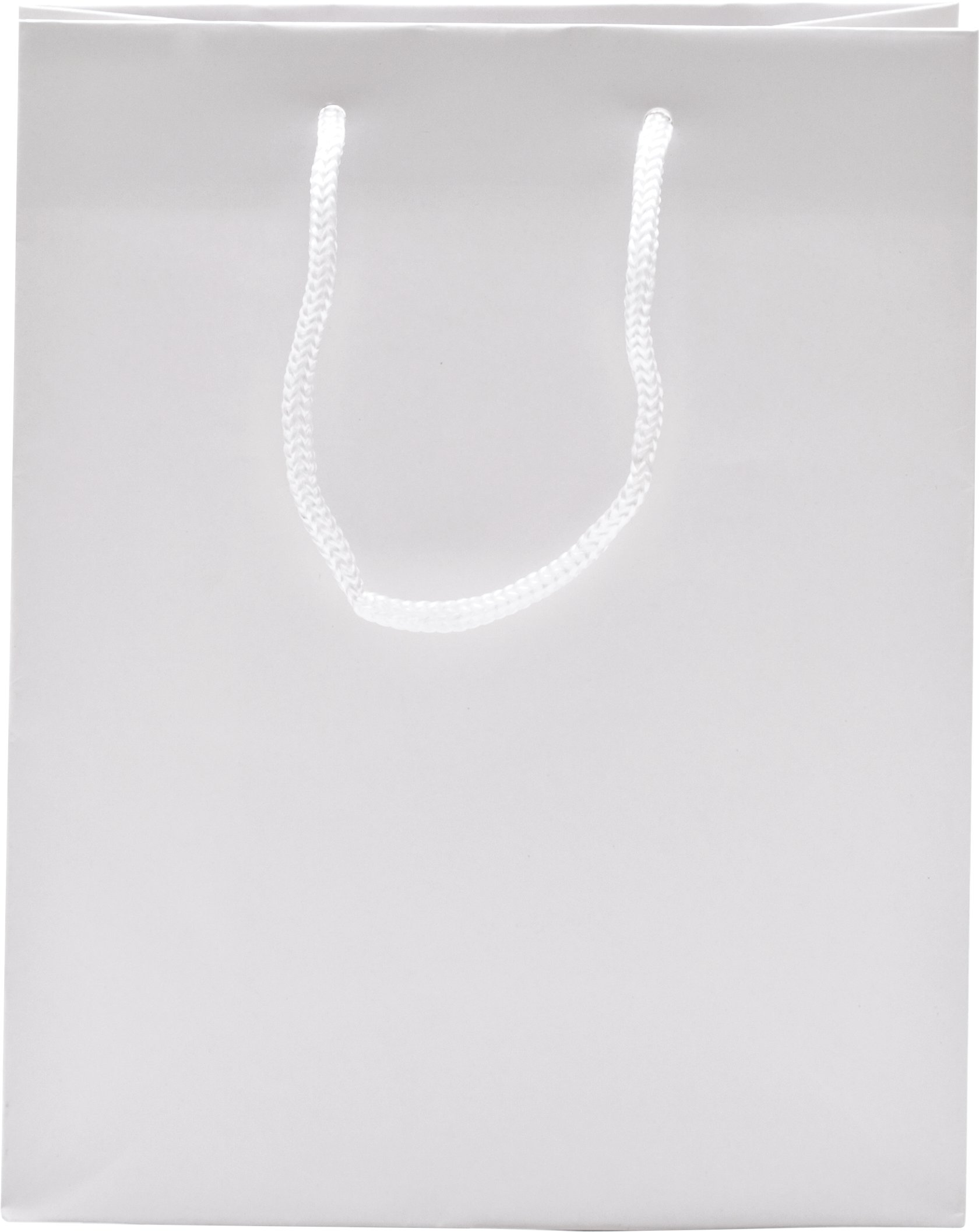 Rope Handle Collection Gloss Paper Gift Bags