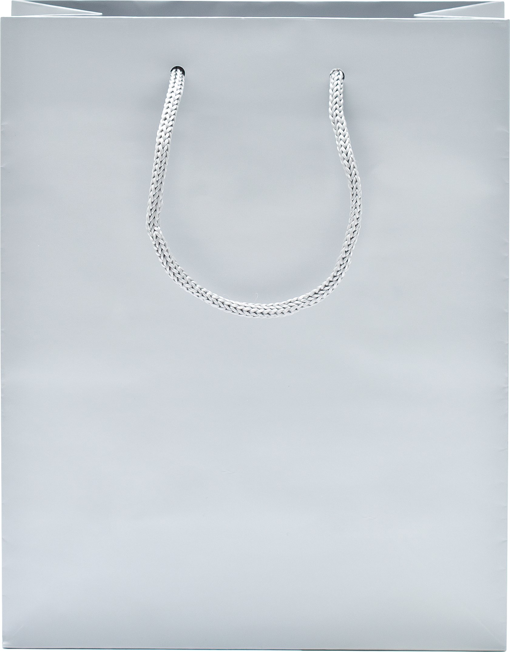 Rope Handle Collection Gloss Paper Gift Bags