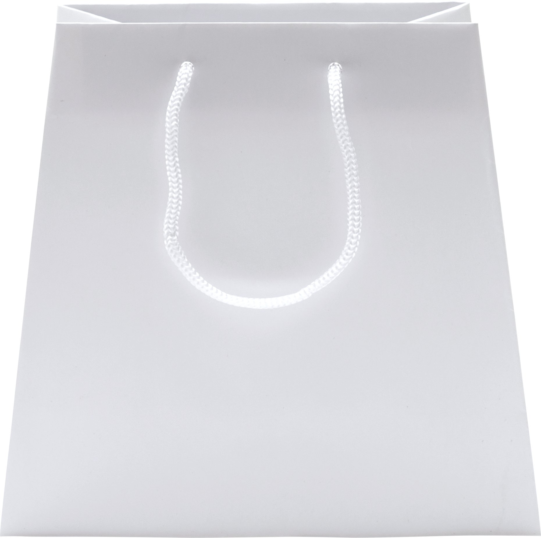 Rope Handle Collection Gloss Paper Gift Bags