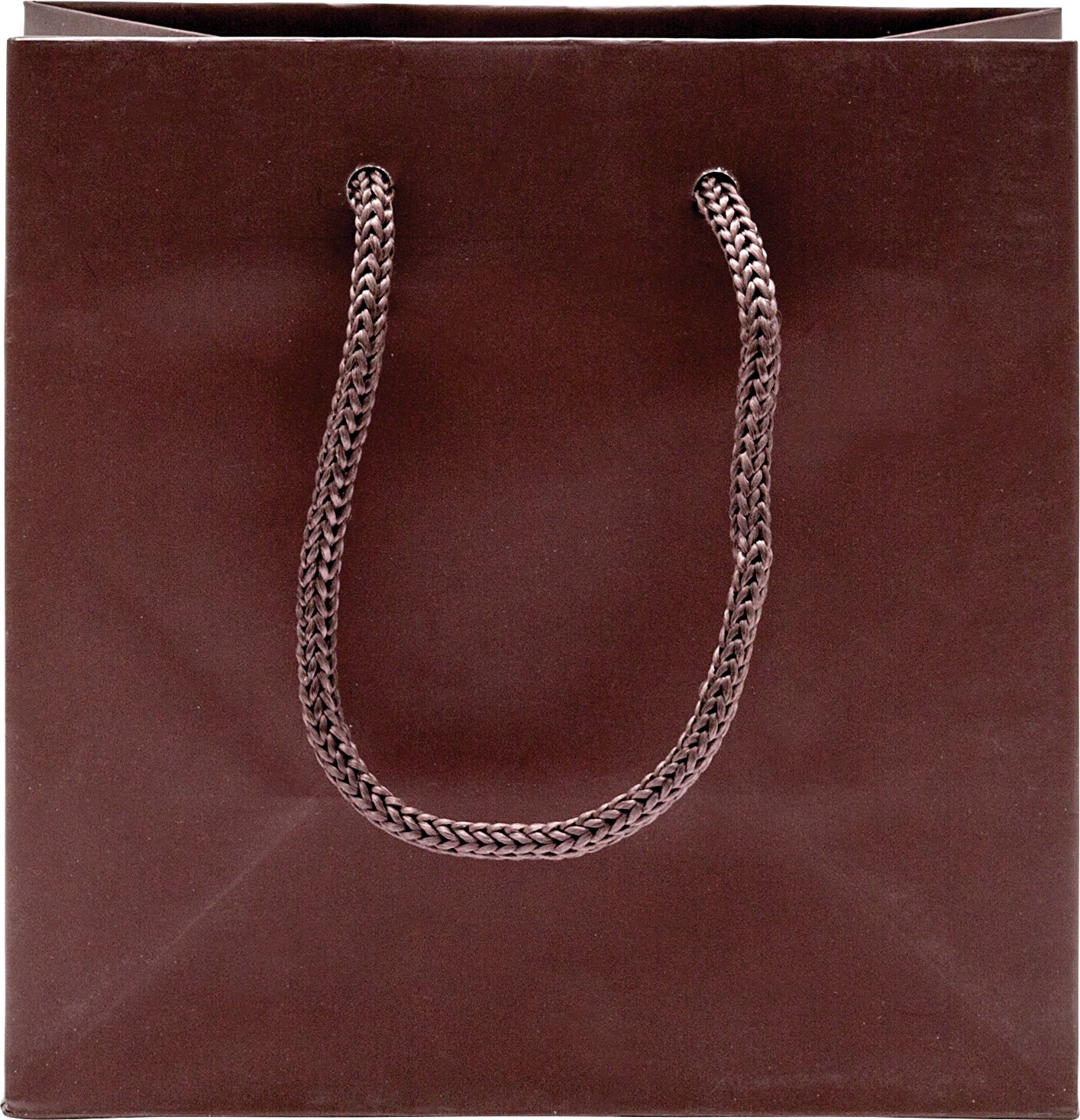 Brown Gloss Paper Gift Bags With Rope Handles - Small - Pack of 100 - Euro Tote - Multifunctional Jewelry Gift Bags - Fine Jewelry Gift Packaging