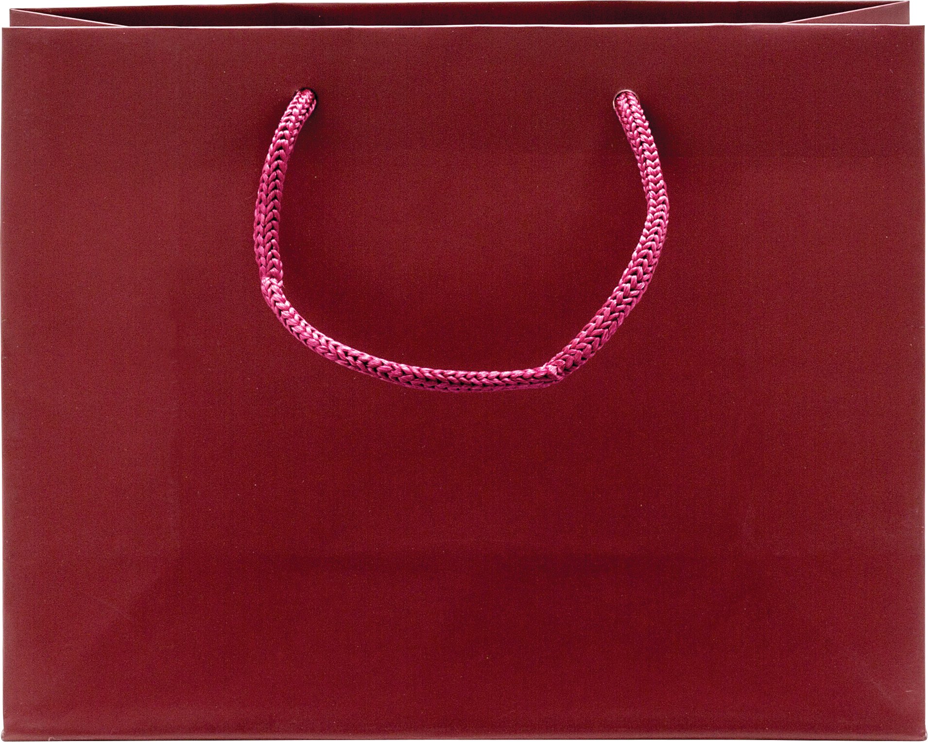 Rope Handle Collection Gloss Paper Gift Bags