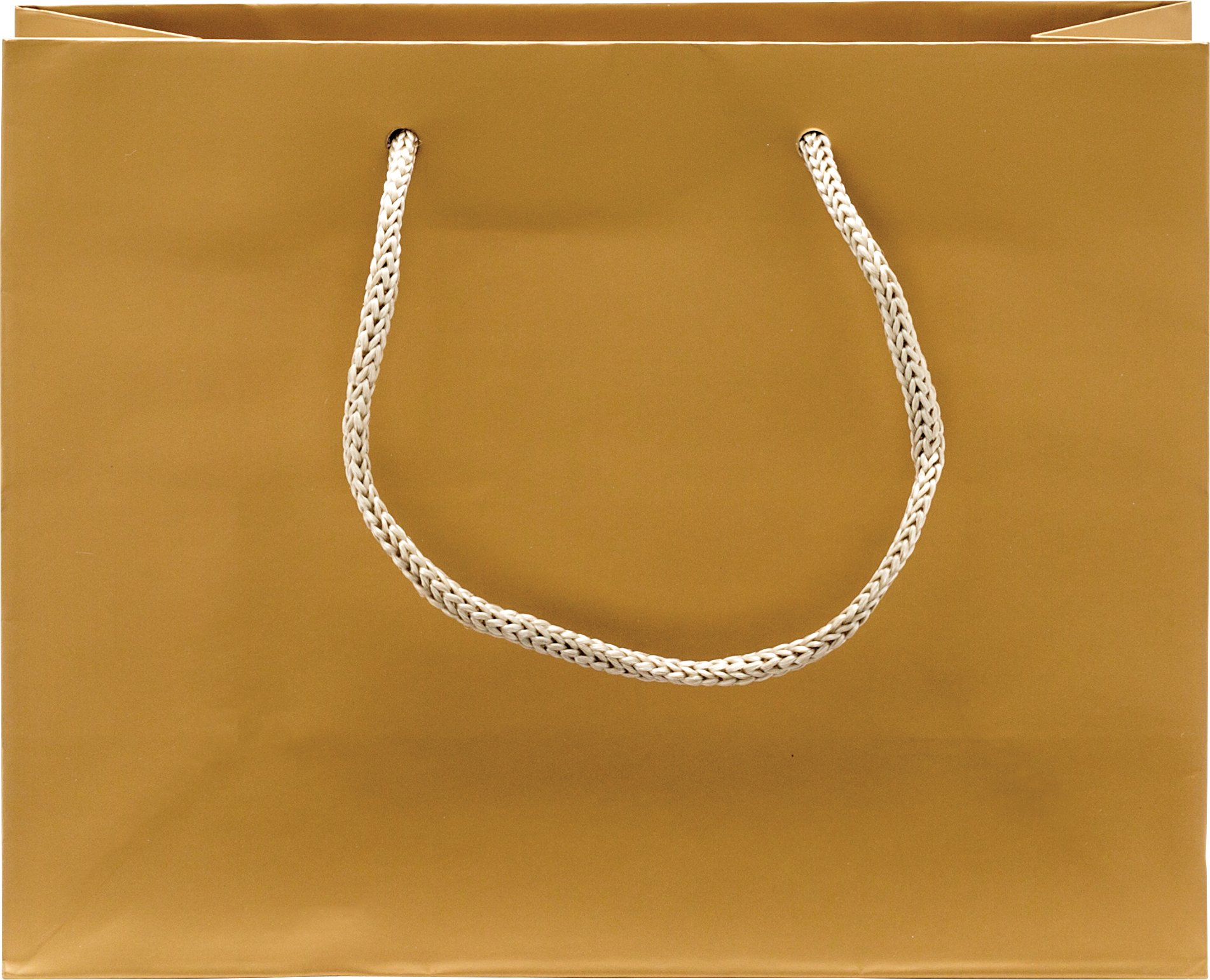 Rope Handle Collection Gloss Paper Gift Bags