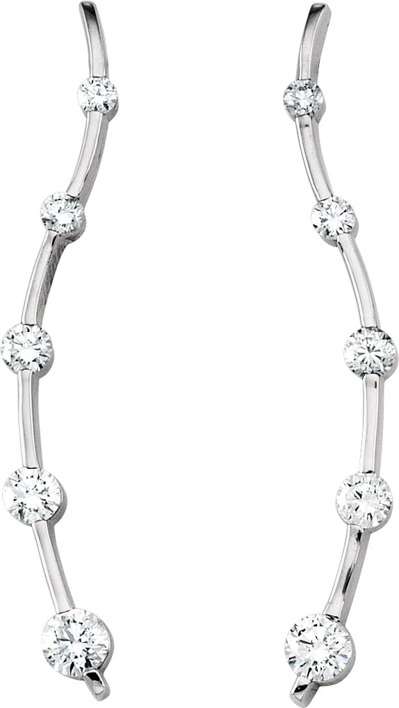 Accented Journey Earrings