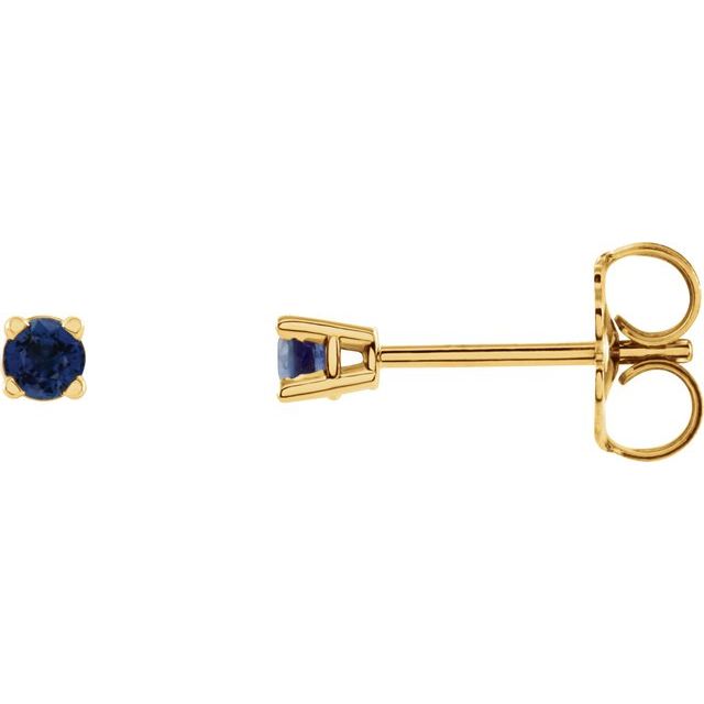 14K Yellow 2.5 mm Natural Blue Sapphire Stud Earrings with Friction Post