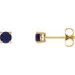 14K Yellow 5 mm Natural Blue Sapphire Earrings with Friction Post
