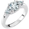 Platinum 3 Stone Diamond Engagement Ring .5 CTW Ref 441262