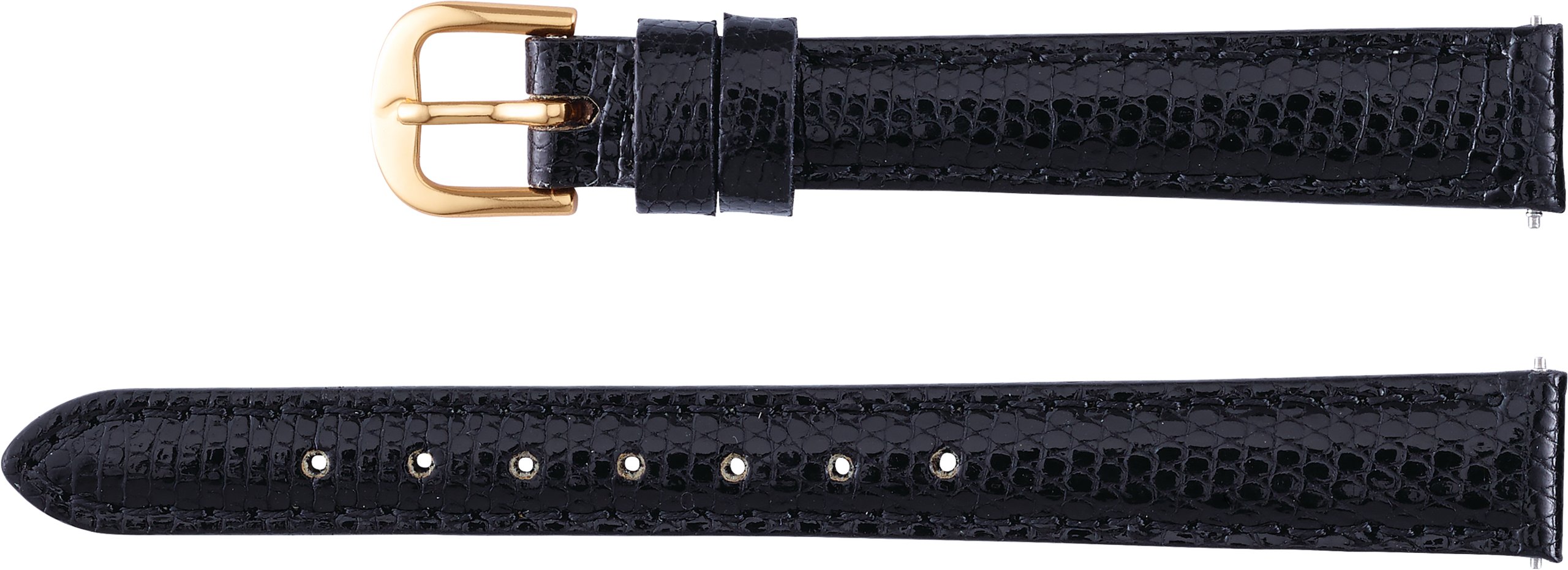 Genuine Lizard Padded Watch Band