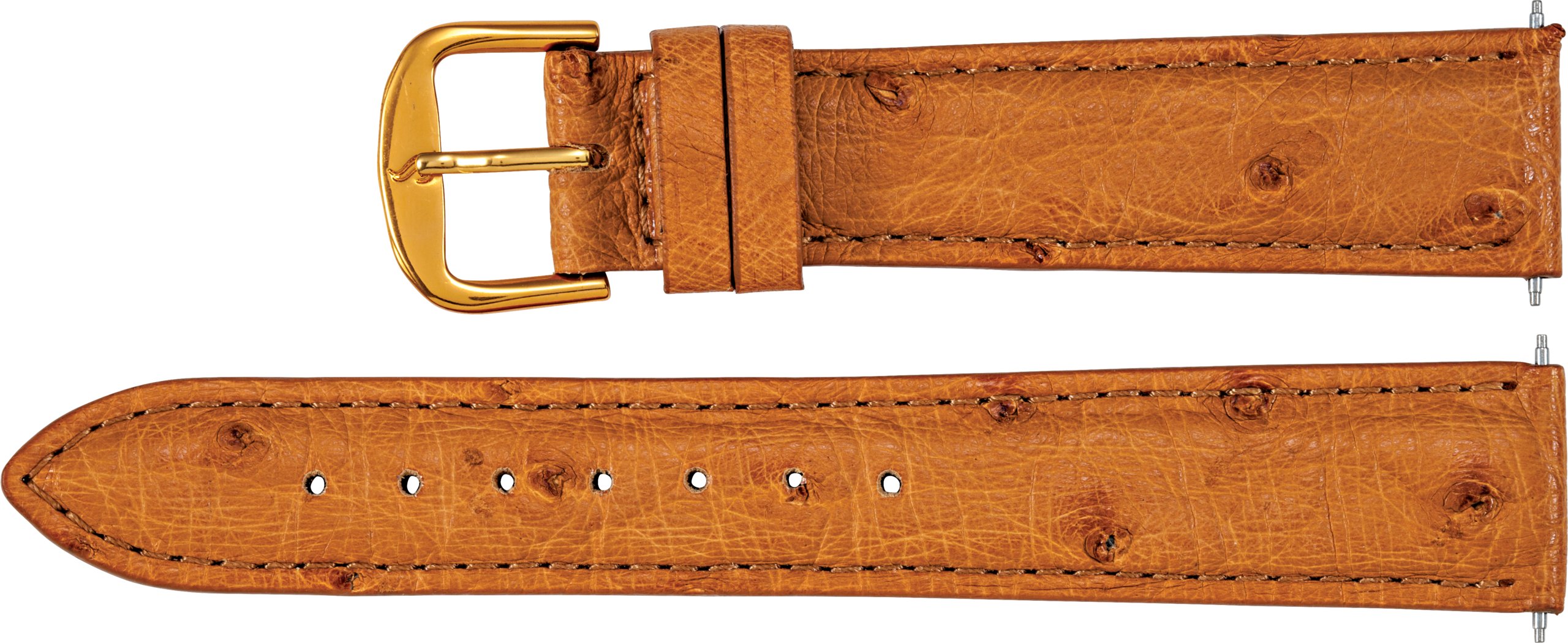 Men's Genuine Ostrich Padded Watch Band