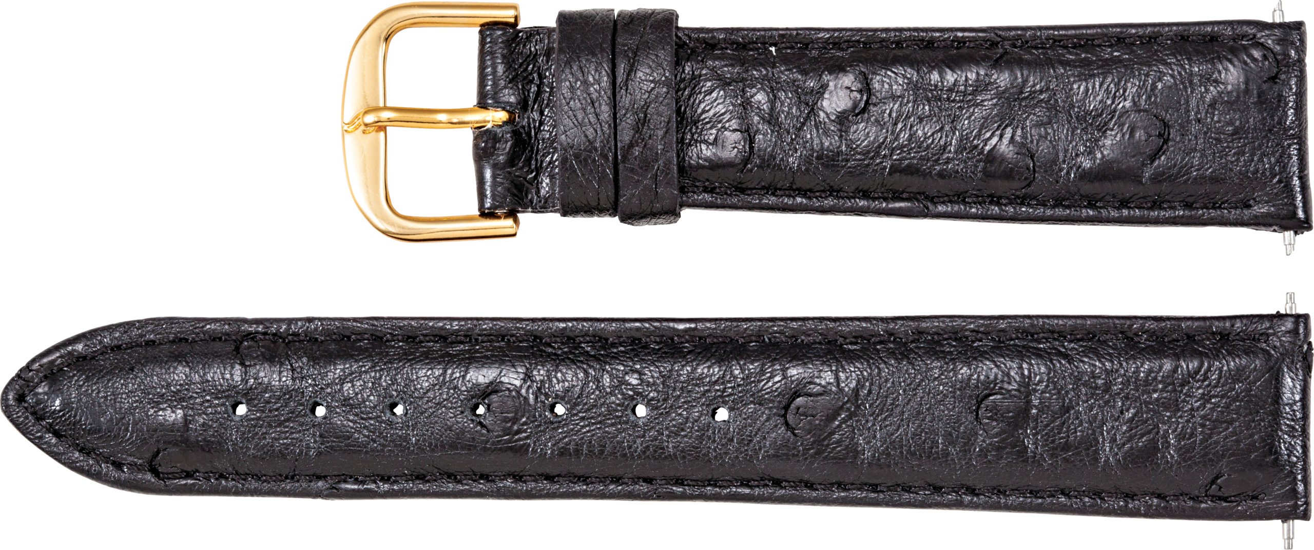 Men's Genuine Ostrich Padded Watch Band