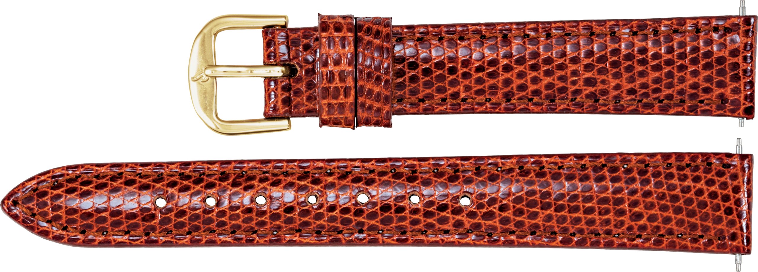 Genuine Lizard Padded Watch Band