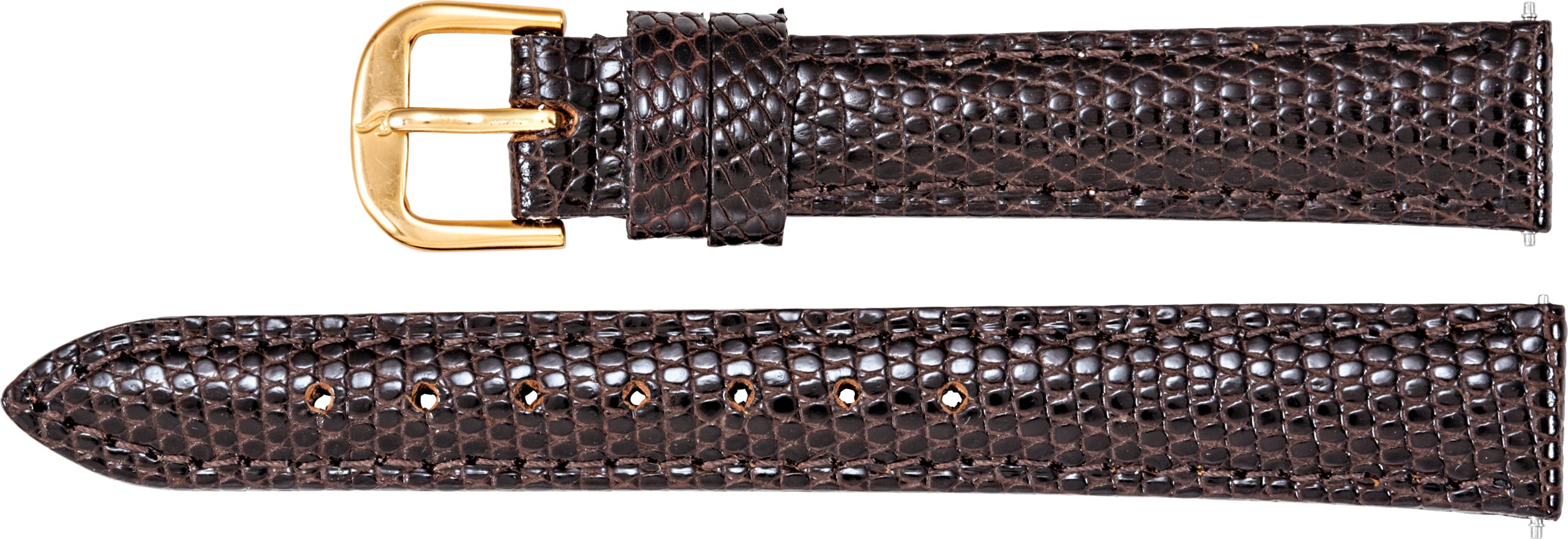 Genuine Lizard Padded Watch Band