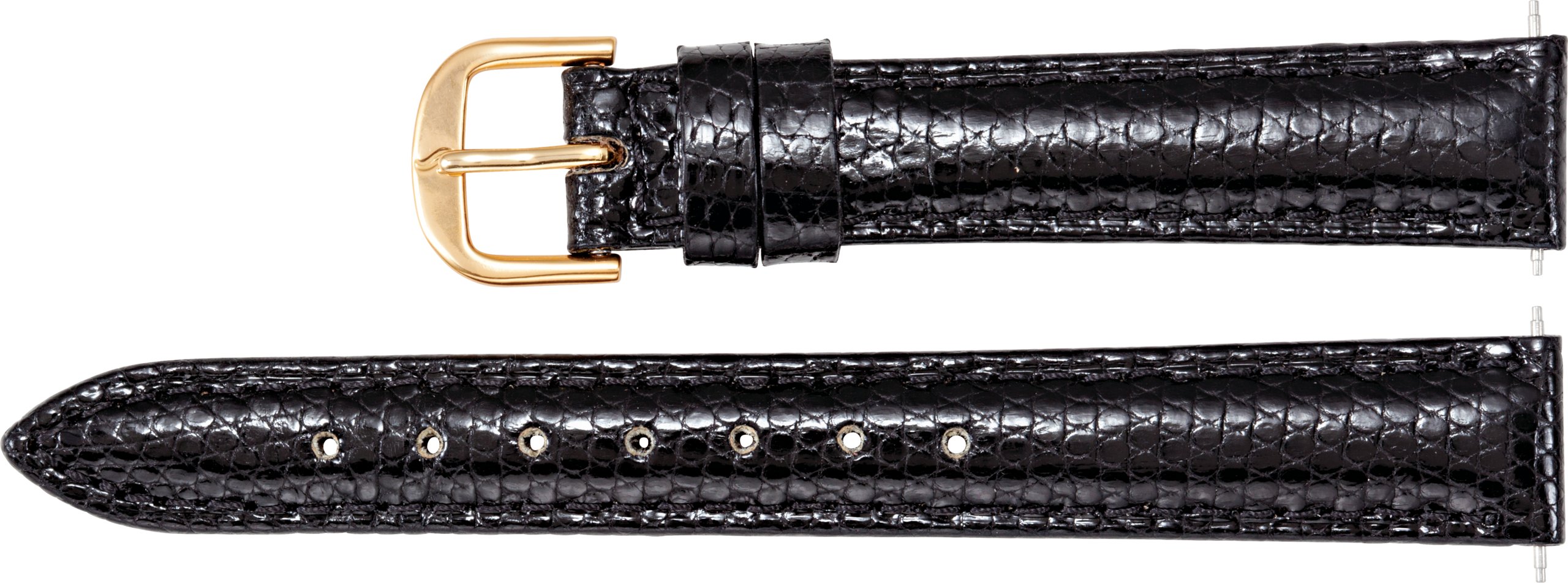 Genuine Lizard Padded Watch Band