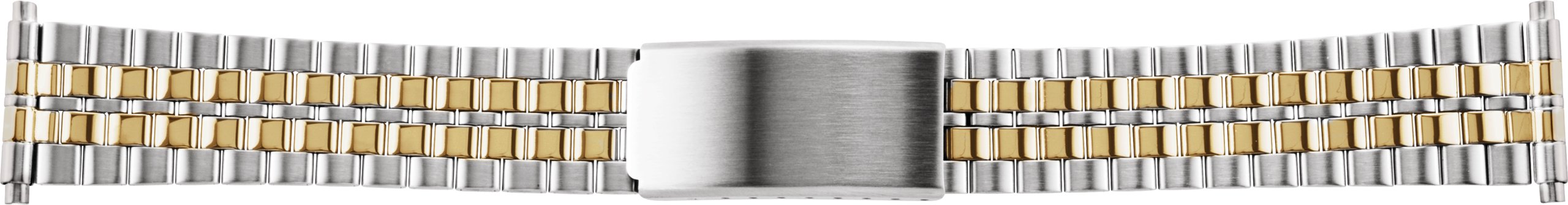 Spring-End Adjustable Link Band