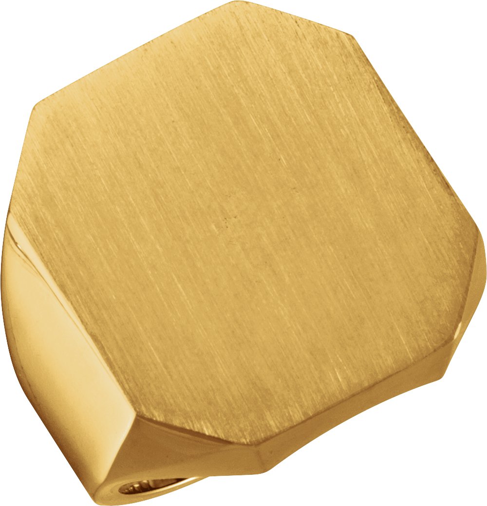 14K Yellow 22x20 mm Octagon Signet Ring 