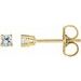 14K Yellow 4 mm Stuller Lab-Grown Moissanite Stud Earrings with Friction Post