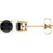 14K Yellow 5 mm Natural Black Onyx Earrings with Friction Post
