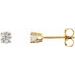 14K Yellow 1/3 CTW Natural Diamond Stud Earrings with Friction Post