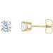 14K Yellow 2 CTW Natural Diamond Stud Earrings with Friction Post