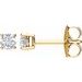 14K Yellow 1/4 CTW Natural Diamond Stud Earrings with Friction Post