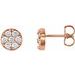 14K Rose 3/8 CTW Natural Diamond Cluster Earrings