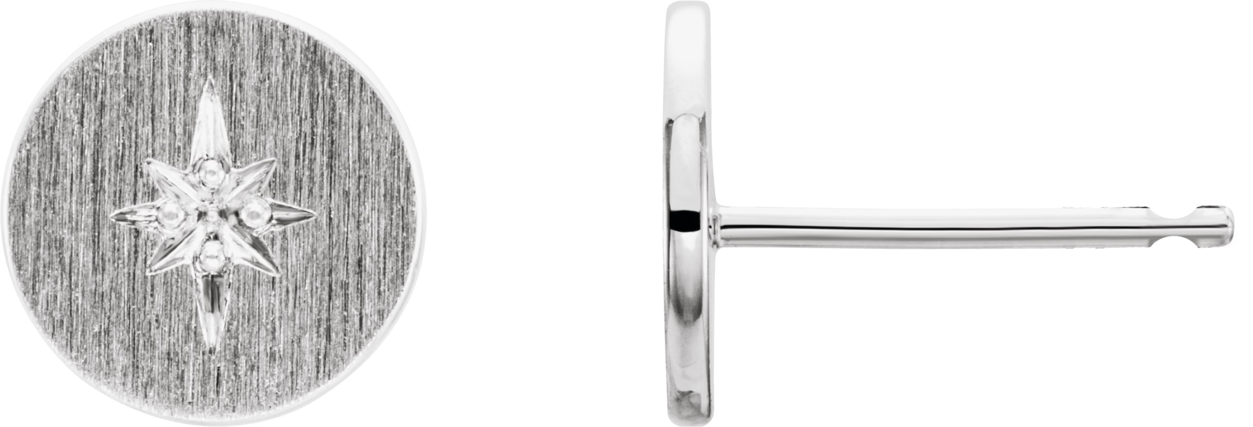 Accented Earrings
