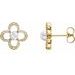 14K Yellow Cultured Freshwater Pearl & 1/4 CTW Natural Diamond Earrings