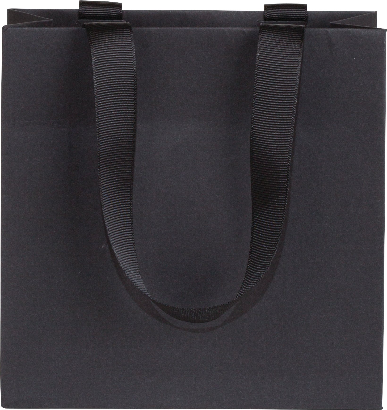 Ribbon Handle Collection Matte Paper Gift Bags