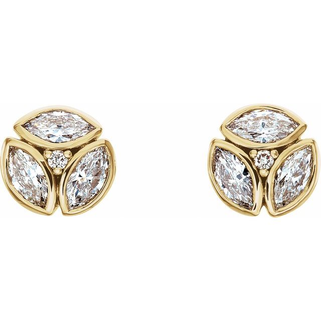 14K Yellow 1/2 CTW Natural Diamond Earrings