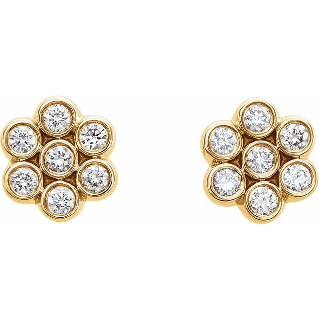14K Yellow 1/4 CTW Natural Diamond Cluster Earrings 