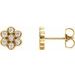 14K Yellow 1/4 CTW Natural Diamond Cluster Earrings 