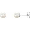 Sterling Silver 6 6.5 mm Freshwater Cultured Pearl Earrings Ref. 9443975