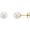 14K Yellow 8 mm White Akoya Cultured Pearl Earrings Ref. 1834109
