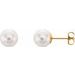 14K Yellow 8 mm Cultured White Akoya Pearl Earrings