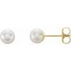14K Yellow 5 mm White Akoya Cultured Pearl Earrings Ref. 1842273