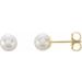 14K Yellow 5 mm Cultured White Akoya Pearl Earrings