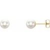 14K Yellow 6 mm White Akoya Cultured Pearl Earrings Ref. 1826855