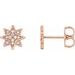 14K Rose .08 CTW Natural Diamond Star Earrings