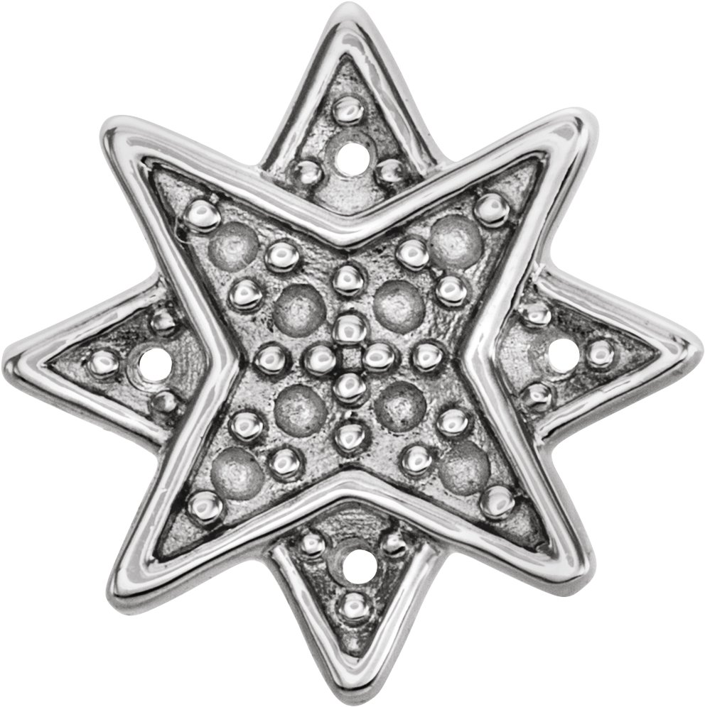 Accented Star Earrings