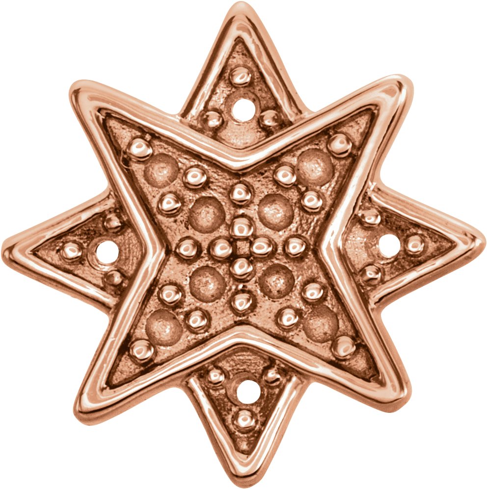 Accented Star Earrings