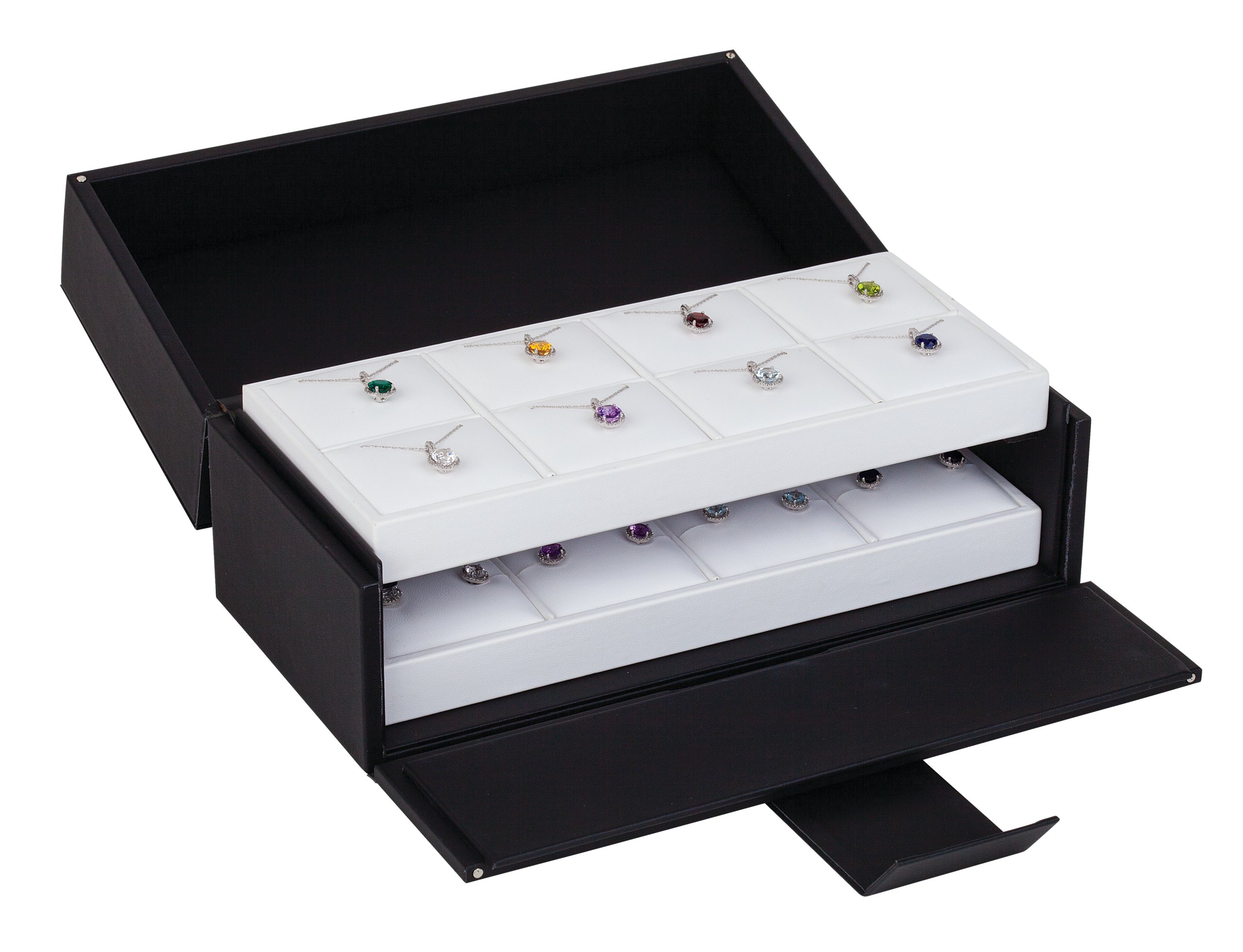 Double Travel Case