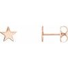 14K Rose Star Earrings Ref. 12396143