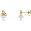 14K Yellow Freshwater Pearl and .06 CTW Diamond Earrings Ref. 12495529