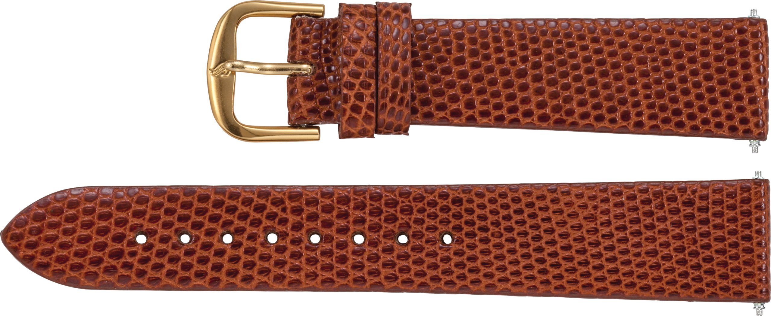 Men's Flat Genuine Lizard Grain Watch Band