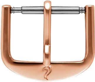 Watch Buckle