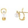 14K Yellow Freshwater Cultured Pearl and .125 CTW Diamond Earrings Ref. 12610191