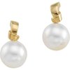 Paspaley South Sea Cultured Pearl Earrings 11.5mm Ref 278568