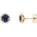 14K Yellow 5 mm Lab-Grown Blue Sapphire & 1/8 CTW Natural Diamond Earrings