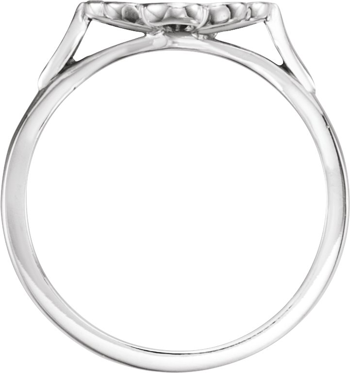 Ring Base view 2