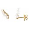 14K Yellow Freshwater Pearl and .10 CTW Diamond Ear Climbers Ref. 12610220