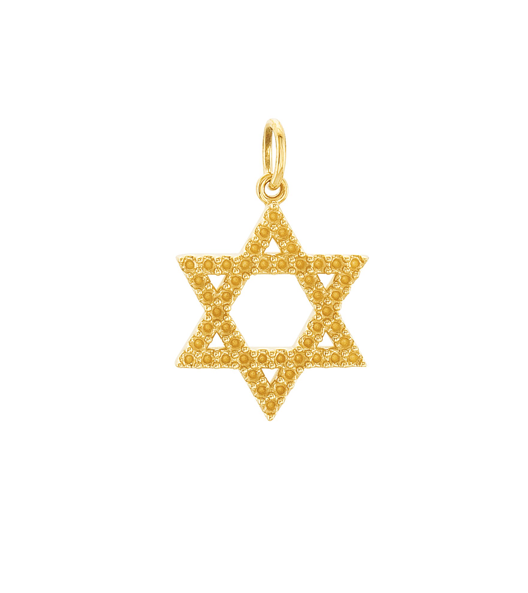 Accented Star of David Necklace or Pendant